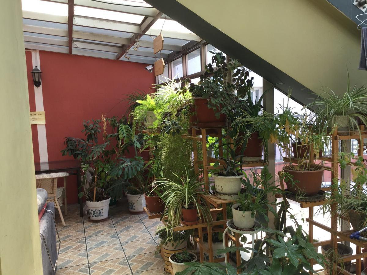 Lete Hostel 西寧市 エクステリア 写真